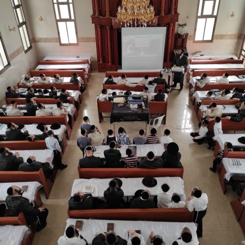 WhatsApp Image 2022-04-19 at 11.07.42 (3)