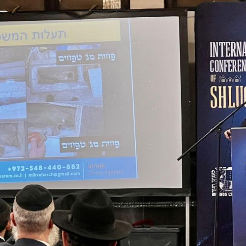 WhatsApp Image 2023-02-07 at 13.25.11