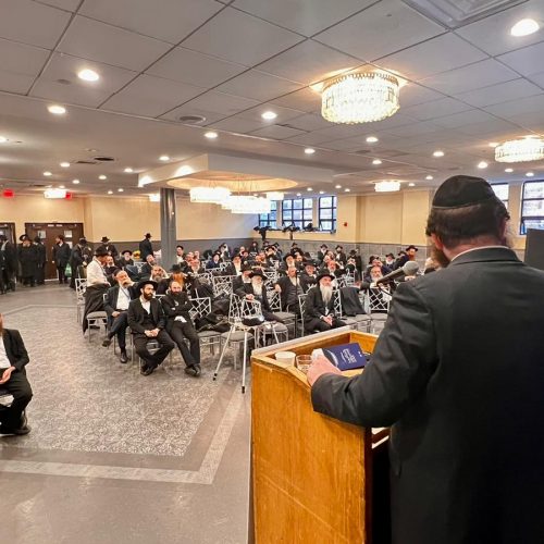 WhatsApp Image 2023-02-07 at 13.25.12